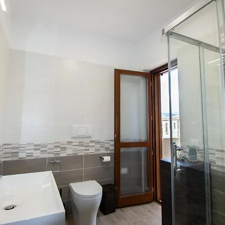 Cycas 维拉西米乌斯