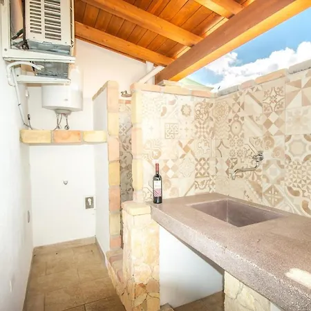 Cycas 维拉西米乌斯