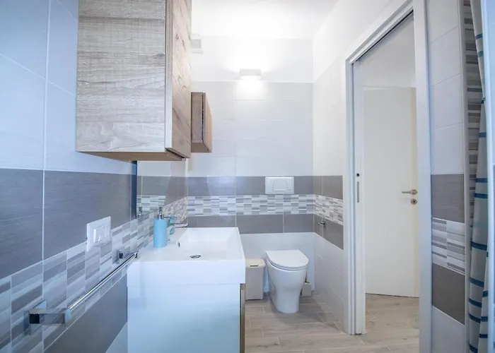 Cycas * וילסימיוס