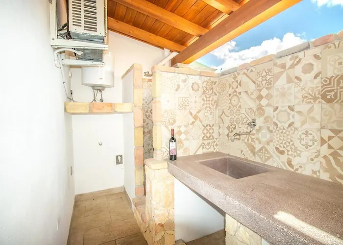 Cycas וילסימיוס